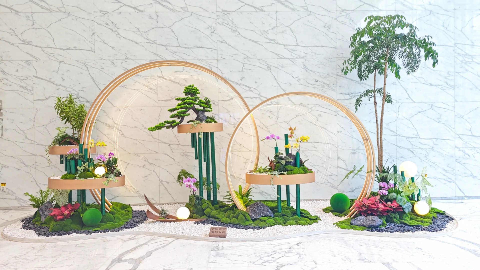 专业余姚植物租赁,给您四季清新绿意